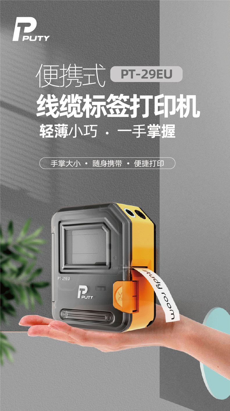 PT-29EU(图1)