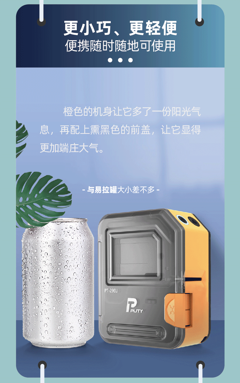 PT-29EU(图5)